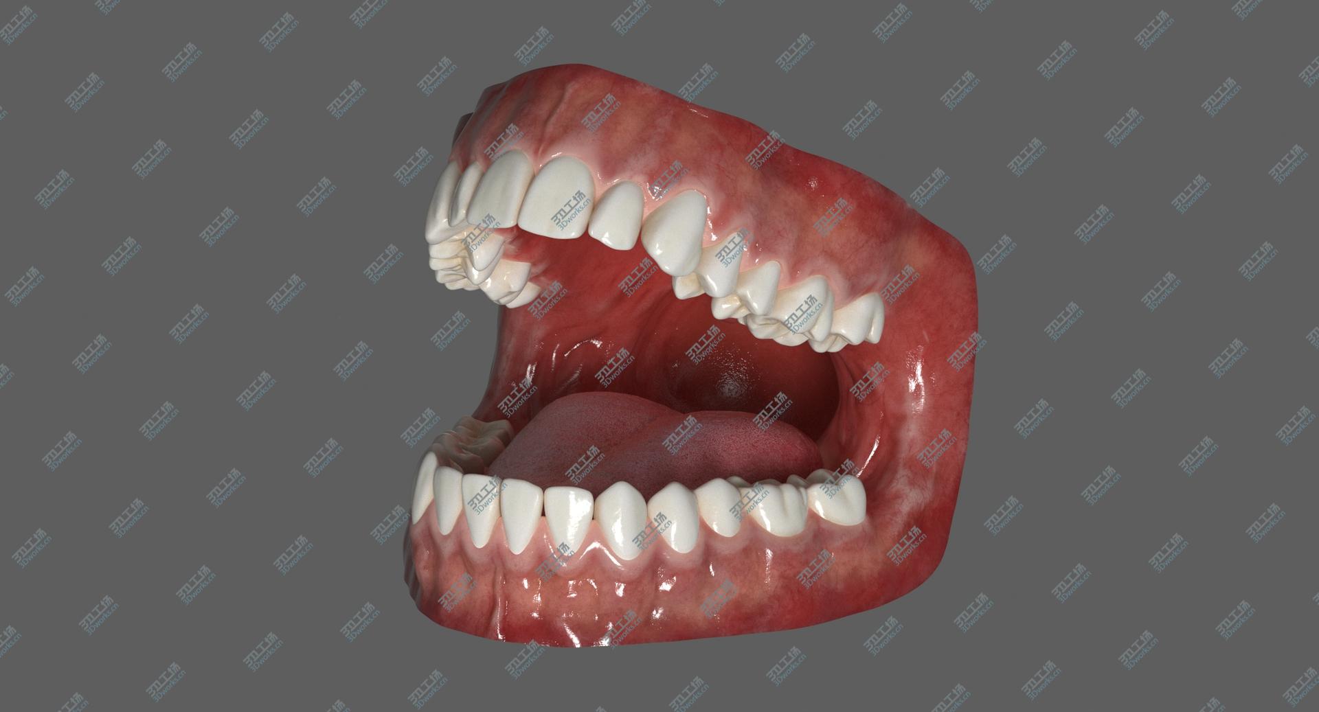 images/goods_img/202105073/Human Mouth With Tongue Rigged 3D model/3.jpg